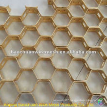 Carbon Steel 0Cr13 Tortoise Shell Net(Factory)